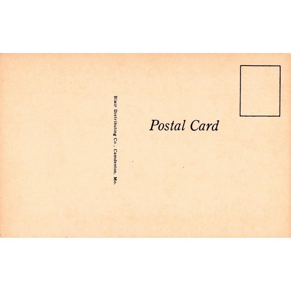 Vintage Blair Distributing Co Camdenton MO Advice Humorous Postcard G64 - Picture 2 of 2